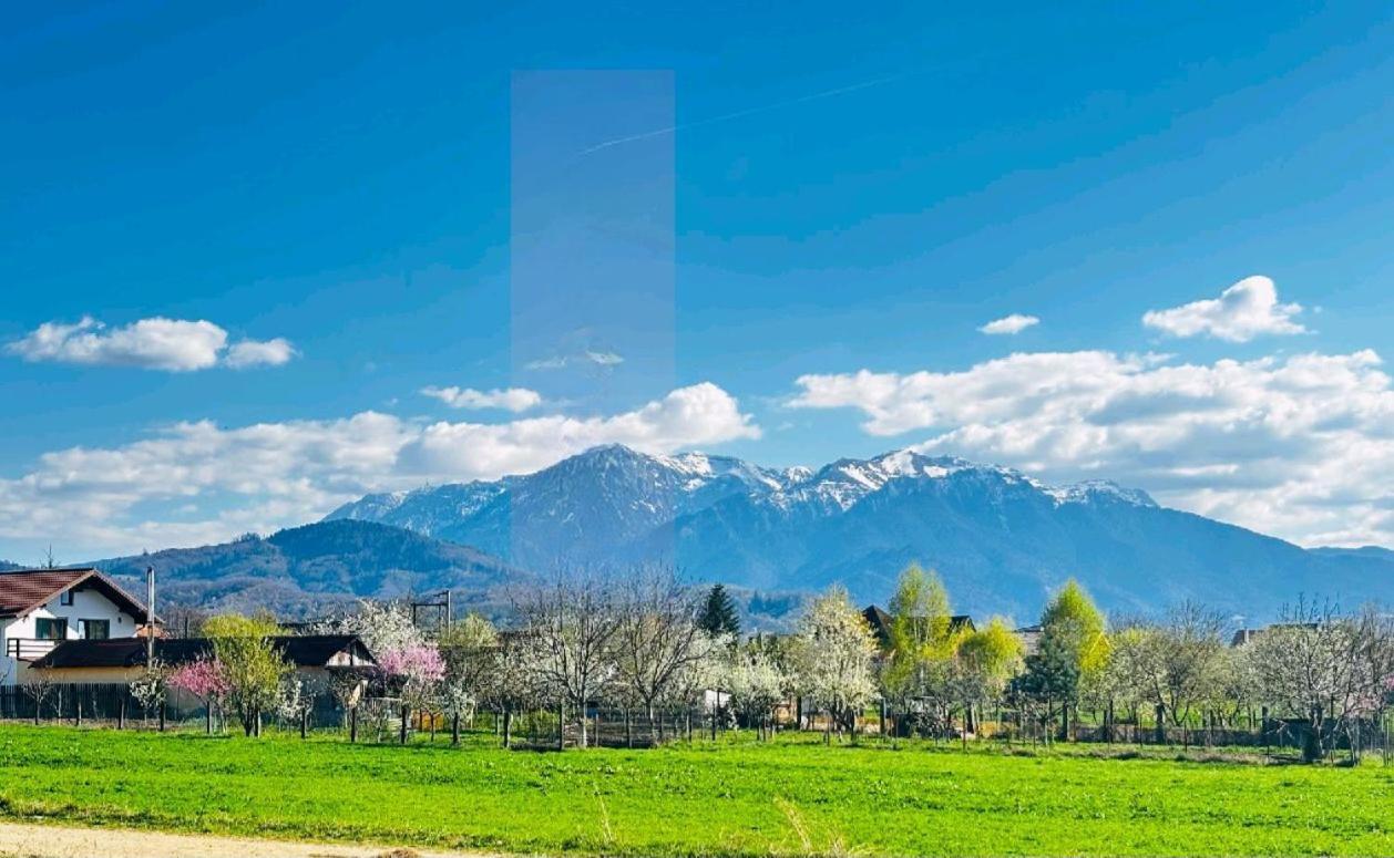 Das Home Rîşnov Exterior foto